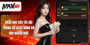 Cách đọc kèo tài xỉu