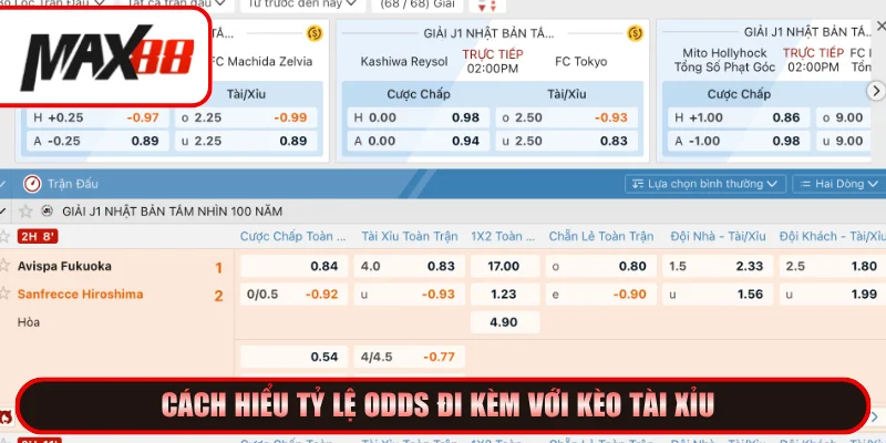 Hướng dẫn tính tỷ lệ odds của kèo tài xỉu