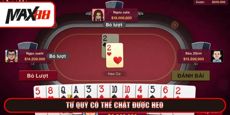 Tứ quý có thể chặt được heo